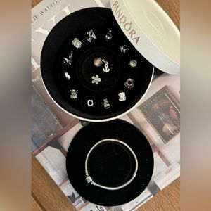 Pandora bracelet with 15 charms.